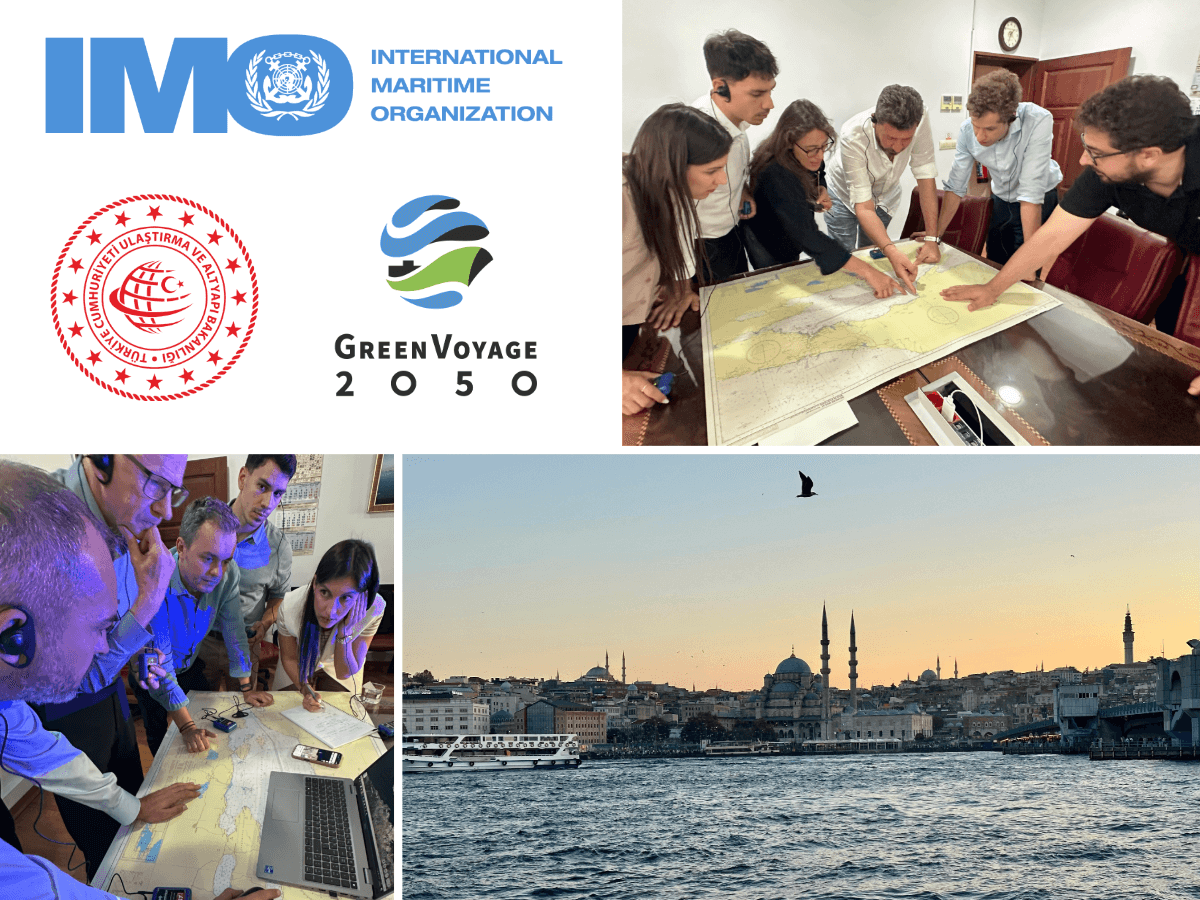 Exploring ferry electrification in Türkiye